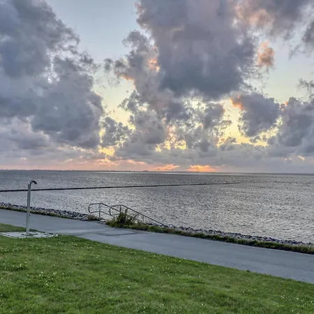 Pet Friendly Apartament *