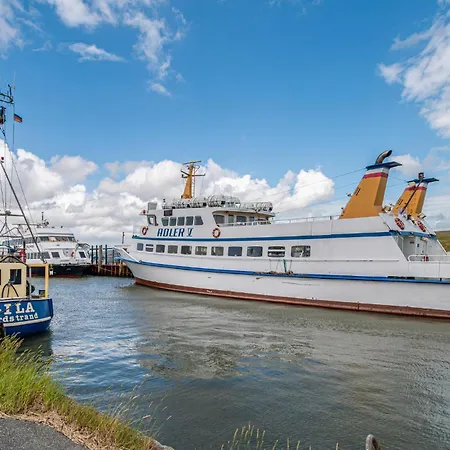 Apartament Pet Friendly *