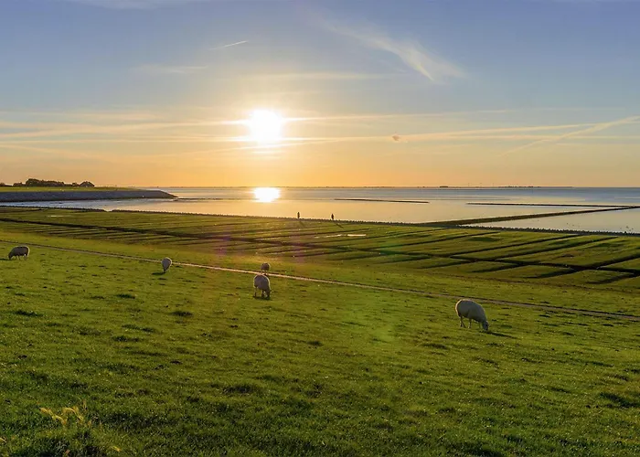 Appartement Pet Friendly Nordstrand